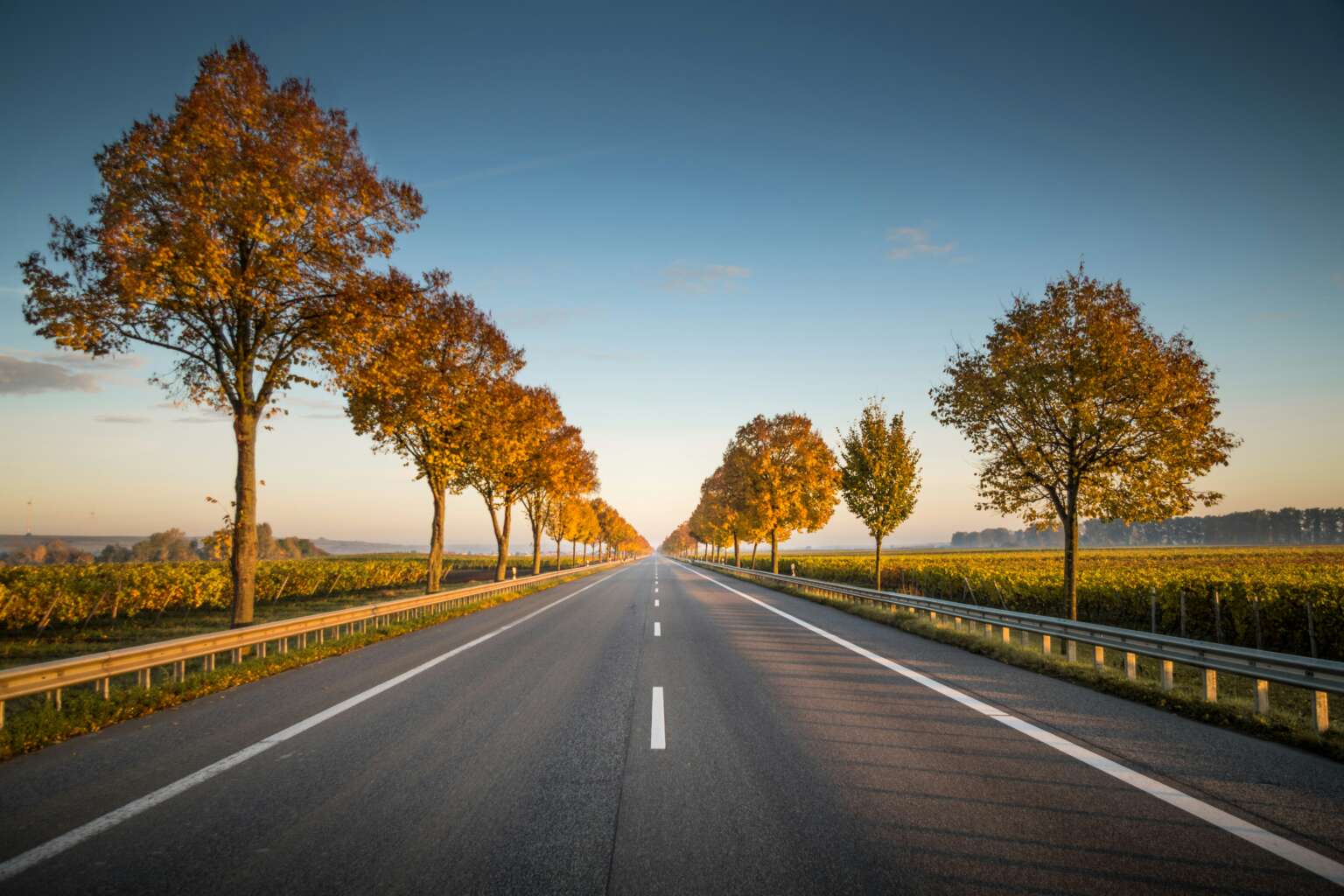 Rijbewijs